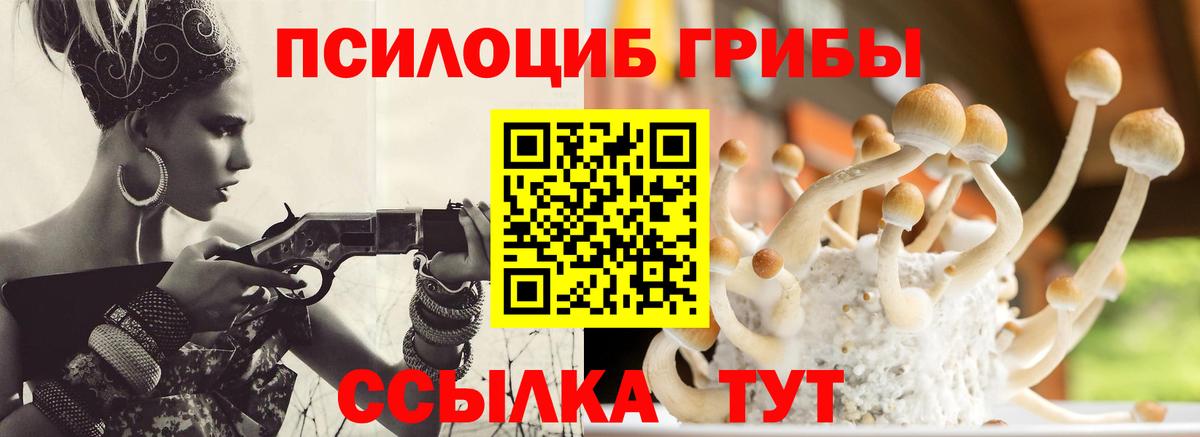 Галлюциногенные грибы MAGIC MUSHROOMS  Вход с VPN  Галлюциногенные грибы мухоморы  Серов 